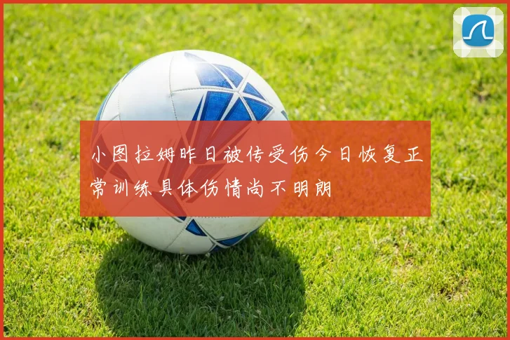 小图拉姆昨日被传受伤今日恢复正常训练具体伤情尚不明朗