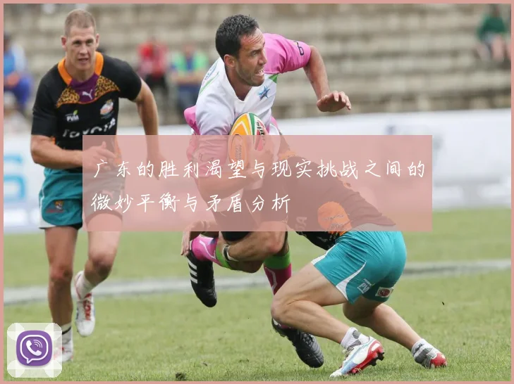 广东的胜利渴望与现实挑战之间的微妙平衡与矛盾分析