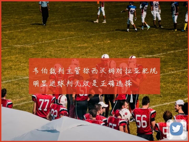 韦伯裁判主管称西汉姆对拉亚犯规明显进球判无效是正确选择