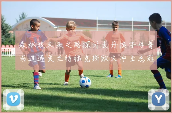 森林狼未来之路探讨麦丹换字母哥或追逐莫兰特福克斯欧文冲击总冠军